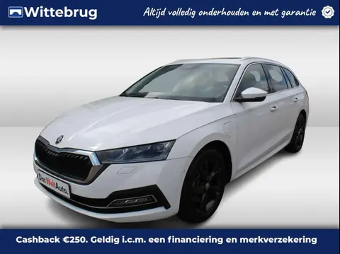 Used SKODA OCTAVIA Hybrid 2022 Ad 