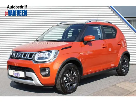 Used SUZUKI IGNIS Petrol 2024 Ad 