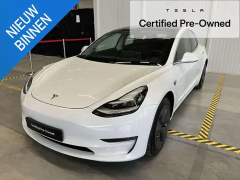 Used TESLA MODEL 3 Electric 2019 Ad 