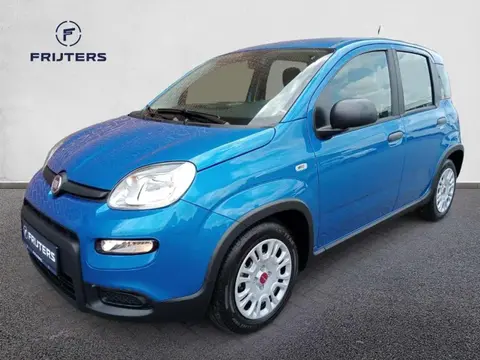 Annonce FIAT PANDA Hybride 2024 d'occasion 