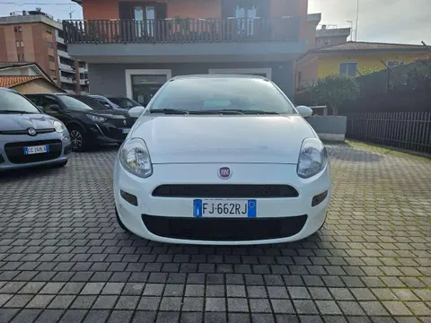 Used FIAT PUNTO Petrol 2017 Ad 