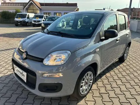 Used FIAT PANDA Petrol 2020 Ad 