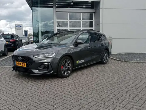 Annonce FORD FOCUS Hybride 2023 d'occasion 