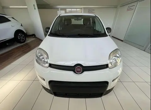 Annonce FIAT PANDA Hybride 2024 d'occasion 