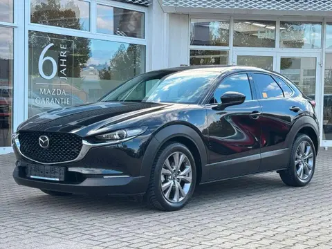 Used MAZDA CX-30 Petrol 2019 Ad Germany