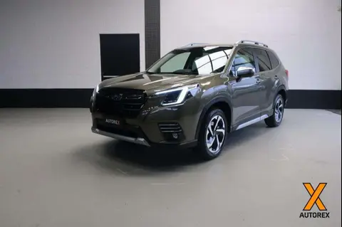 Annonce SUBARU FORESTER Hybride 2024 d'occasion 