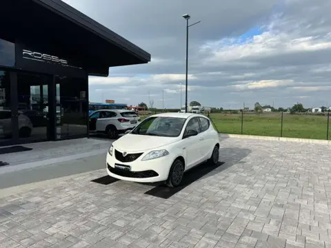 Used LANCIA YPSILON LPG 2019 Ad 