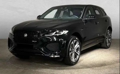 Used JAGUAR F-PACE Petrol 2023 Ad 