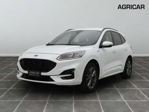 Annonce FORD KUGA Diesel 2020 d'occasion 