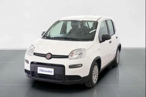 Used FIAT PANDA Hybrid 2024 Ad 