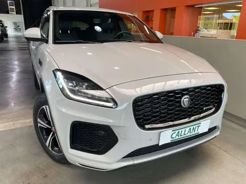 Used JAGUAR E-PACE Hybrid 2023 Ad 