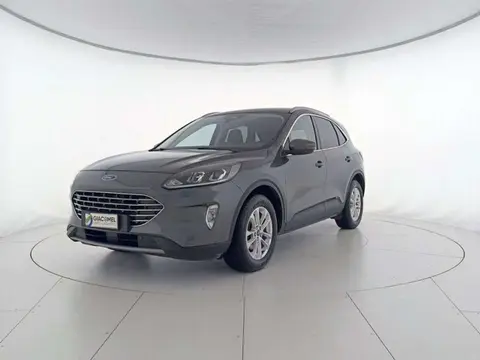 Annonce FORD KUGA Diesel 2020 d'occasion 