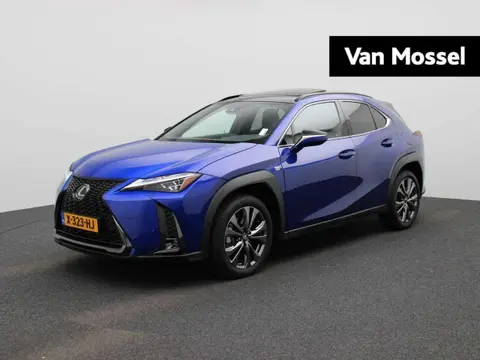 Used LEXUS UX Hybrid 2023 Ad 