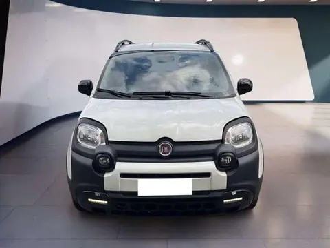 Annonce FIAT PANDA Hybride 2021 d'occasion 