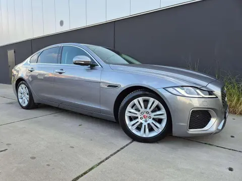 Used JAGUAR XF Diesel 2022 Ad 