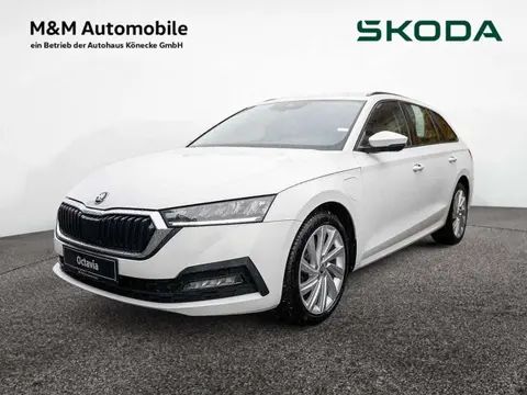 Annonce SKODA OCTAVIA Hybride 2021 d'occasion 