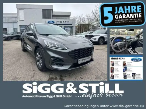 Annonce FORD KUGA Hybride 2024 d'occasion 