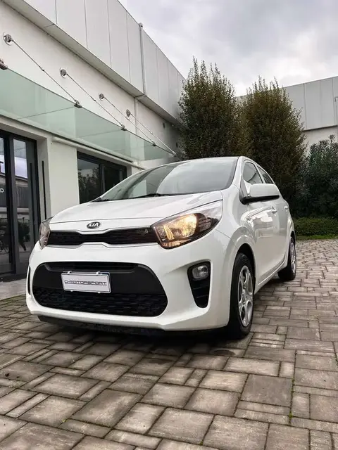 Annonce KIA PICANTO Essence 2019 d'occasion 