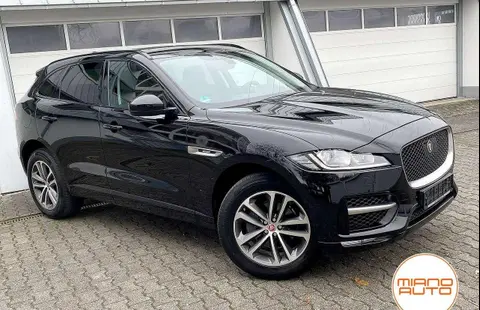 Used JAGUAR F-PACE Petrol 2019 Ad 