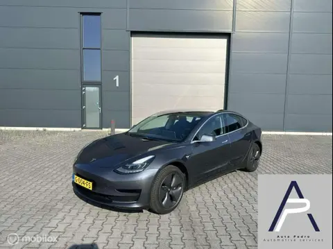 Used TESLA MODEL 3 Electric 2019 Ad 