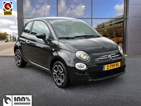 Used FIAT 500 Petrol 2023 Ad 