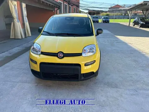 Annonce FIAT PANDA Hybride 2024 d'occasion 