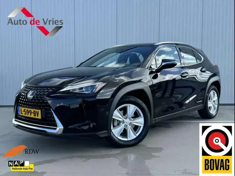 Used LEXUS UX Hybrid 2021 Ad 