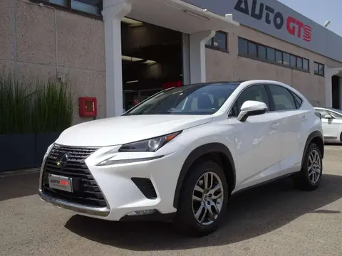 Used LEXUS NX Hybrid 2020 Ad 