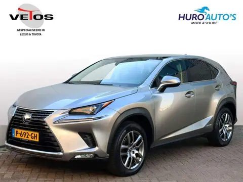 Annonce LEXUS NX Hybride 2019 d'occasion 