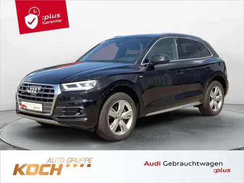 Used AUDI Q5 Diesel 2019 Ad 