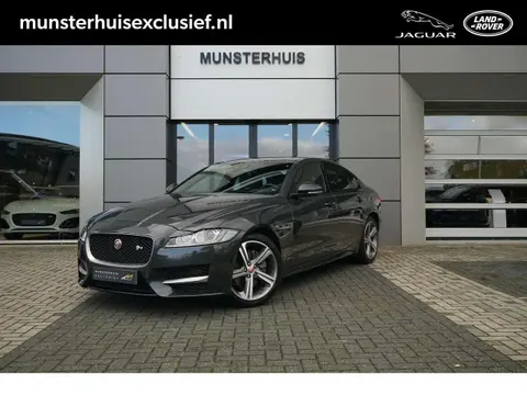 Used JAGUAR XF Petrol 2018 Ad 