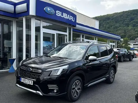 Annonce SUBARU FORESTER Essence 2024 d'occasion 