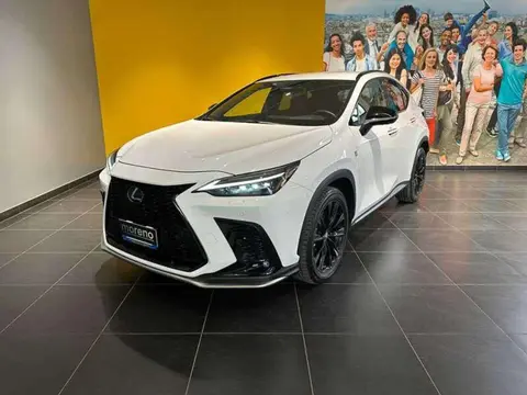 Used LEXUS NX Hybrid 2022 Ad 