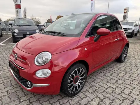 Used FIAT 500 Petrol 2023 Ad 