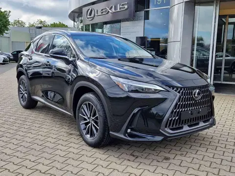 Annonce LEXUS NX Hybride 2024 d'occasion 