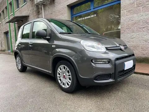 Used FIAT PANDA Hybrid 2023 Ad 