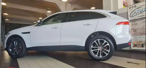 Used JAGUAR F-PACE Diesel 2017 Ad 