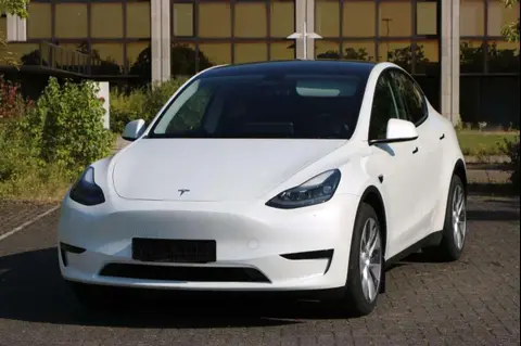 Used TESLA MODEL Y Electric 2023 Ad 