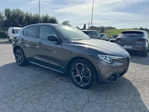 Annonce ALFA ROMEO STELVIO Diesel 2023 d'occasion 