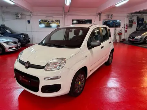 Annonce FIAT PANDA Diesel 2019 d'occasion 