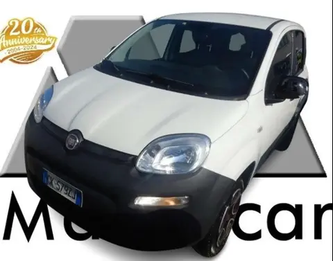 Used FIAT PANDA Petrol 2022 Ad 