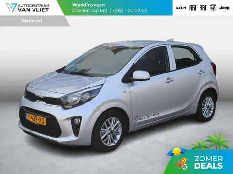 Used KIA PICANTO Petrol 2023 Ad 