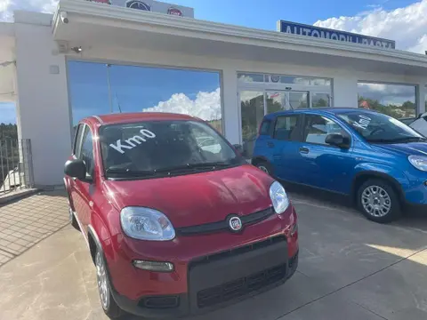 Annonce FIAT PANDA Hybride 2024 d'occasion 