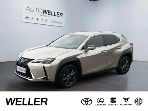 Used LEXUS UX Hybrid 2020 Ad 