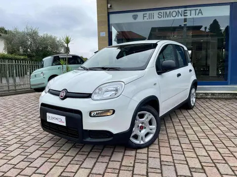 Annonce FIAT PANDA Hybride 2024 d'occasion 