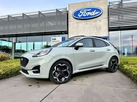 Used FORD PUMA Hybrid 2024 Ad 