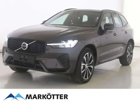 Annonce VOLVO XC60 Essence 2024 d'occasion 