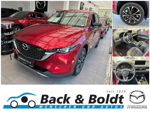 Used MAZDA CX-5 Petrol 2024 Ad 