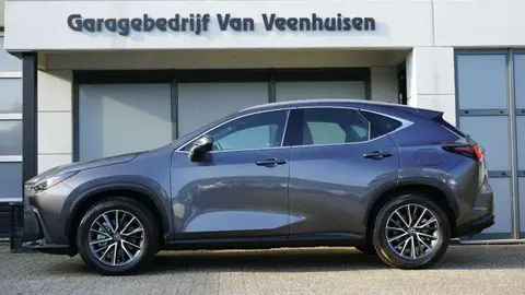 Annonce LEXUS NX Hybride 2023 d'occasion 