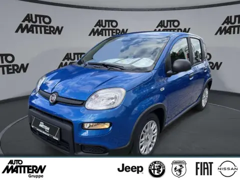 Used FIAT PANDA Petrol 2024 Ad 